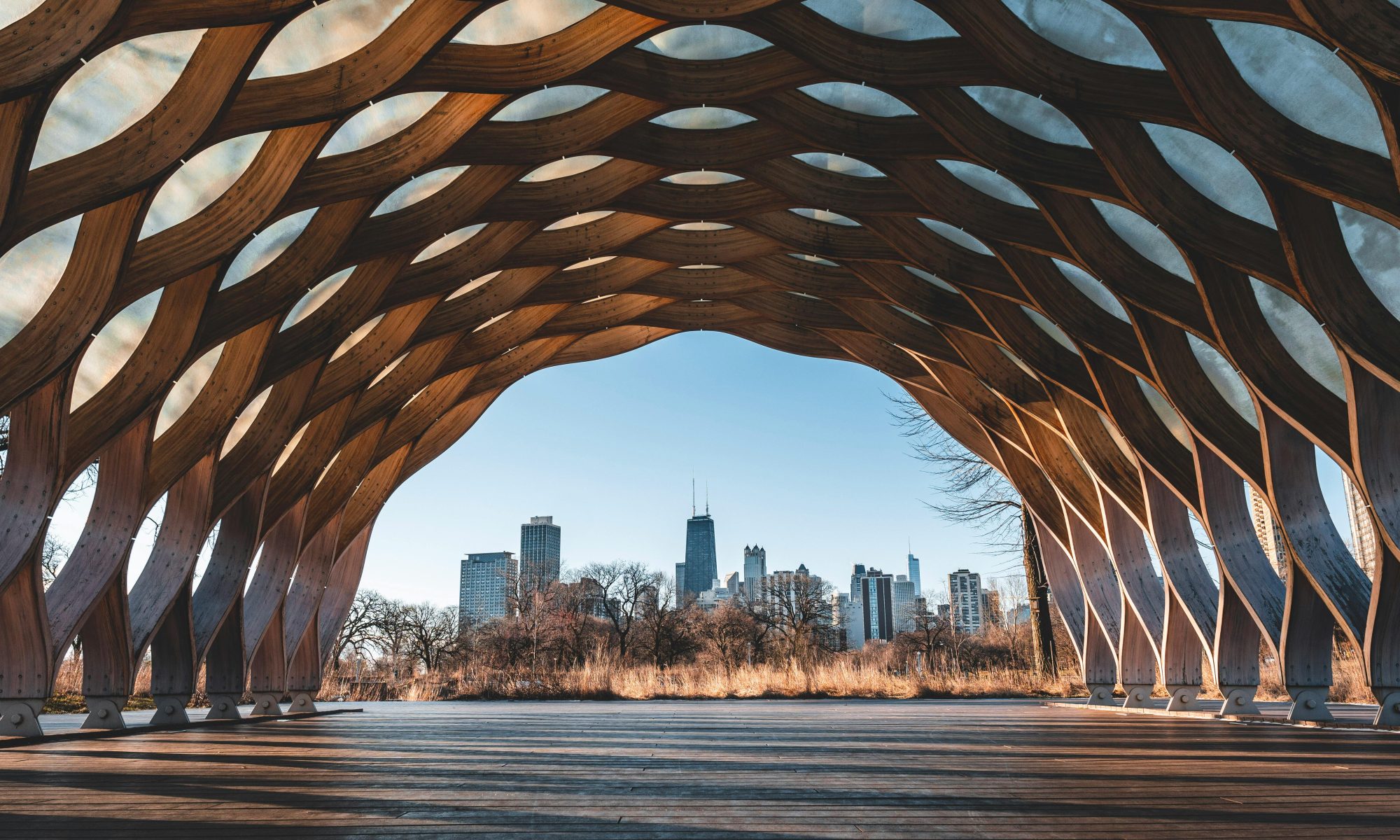 Vertex Sphere - Organic Arched Tunnel